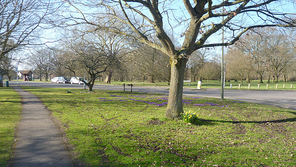 Looking Towards Ashtead Common from the Corner Of Woodfield Lane Ashtead Feb 2019