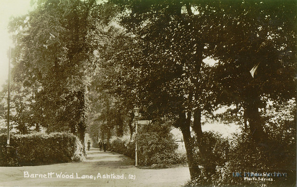 Barnett Wood Lane Ashtead