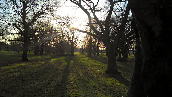 Ashtead Common Dec 2018