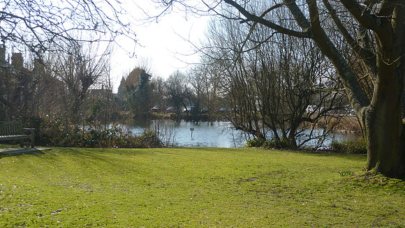 Ashtead Pond Feb 2019