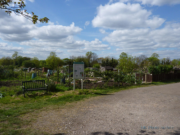 Belmont Allotments 3