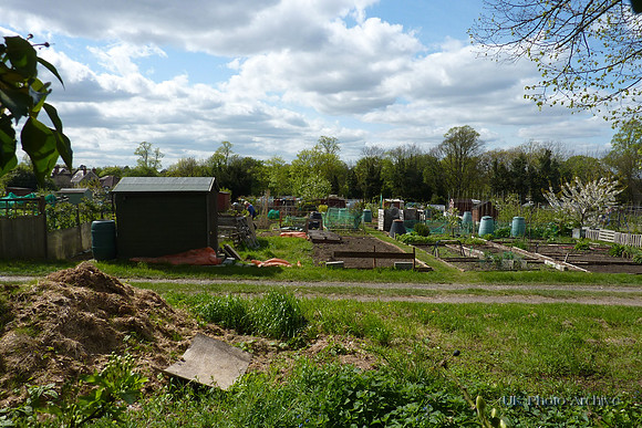 Belmont Allotments 2
