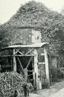 Bowbricks Cottage Bramley Surrey 1904