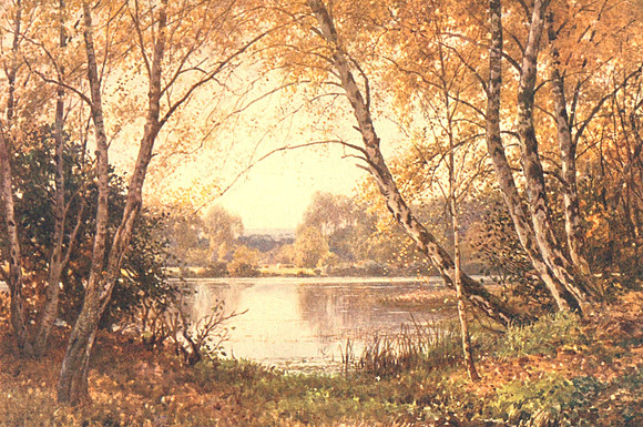 The Verge Of The Pond Royal Common Elstead Surrey 1906