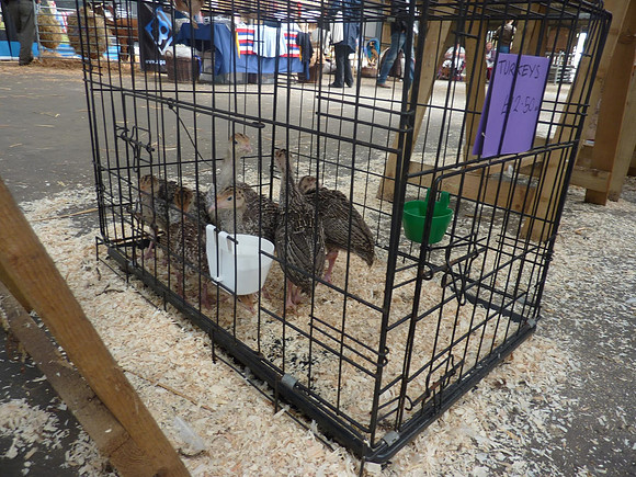 Ardingly Smallholders Fair 2016