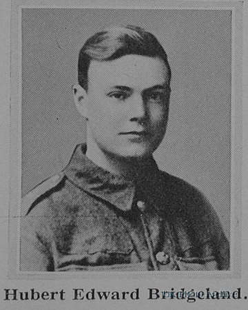 Bridgeland H E Pte 11478 1st Coldstream Guards