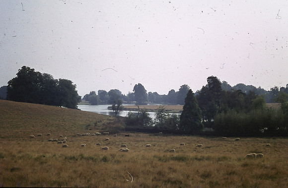 Petworth House Gardens 1973