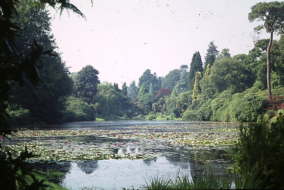Sheffield Park Lake 1973