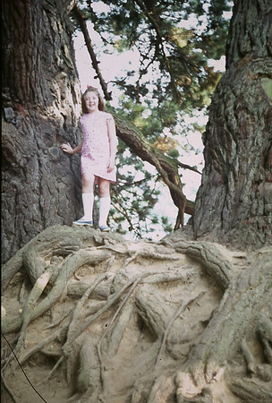 A Little Girl Called Susan In Sheffield Park Gardens 1973