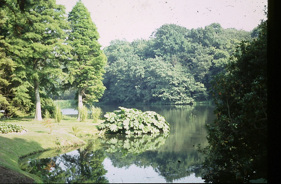 Sheffield Park Lake