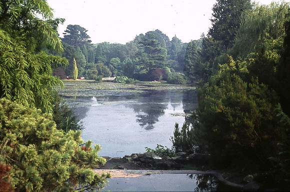 Sheffield Park 1973