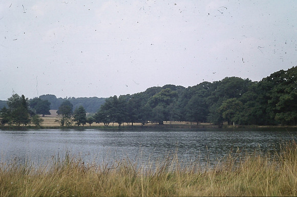 Pettworth House Gardens 1973