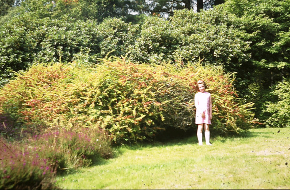 Sheffield Park Gardens 1973