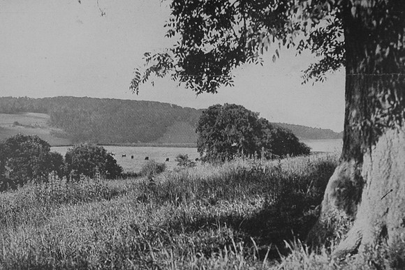 Looking To The North Downs Westcott Near Dorking 1940s