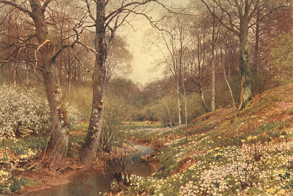 Spring Blossoms Near Dorking 1906