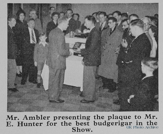 E Hunter Being Presented With A Plaque For Best Budgerigar In Show