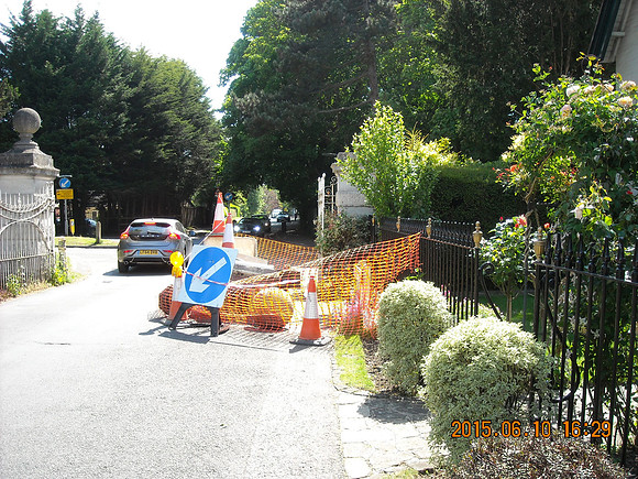Damage To Ashtead Park Gates June 2015