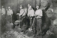 Working Life