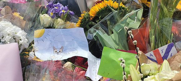 Flowers In St James Park
