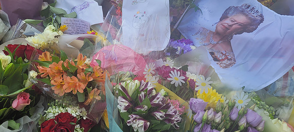 Flowers In St James Park