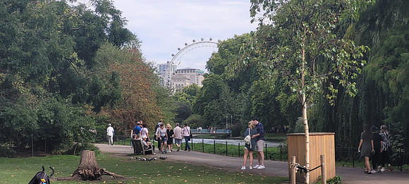 St James's Park 12th Sep 2022