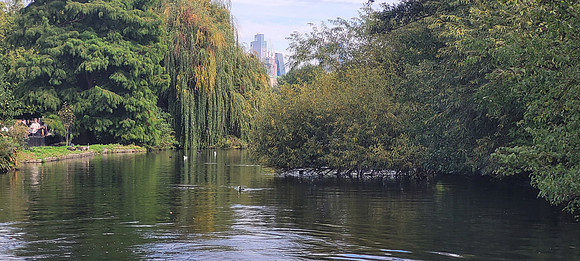St James's Park 12th Sep 2022