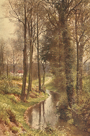 Water Lane Near  East Horsley