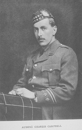 Campbell A C Major DSO 1st Kings Own Scottish Borderers