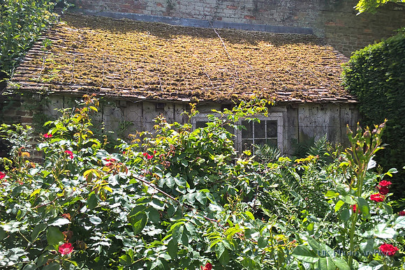 Sissinghurst Castle June 2017