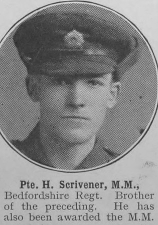 Scrivener H LCpl MM Bedfordshire Regiment The War Illustrated Vol 9