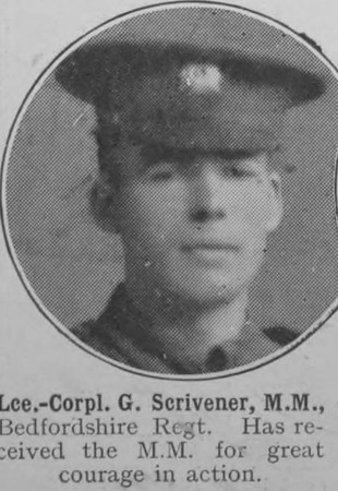 Scrivener G LCpl MM Bedfordshire Regiment The War Illustrated Vol 9