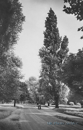 Station Road Barnes
