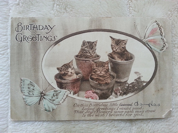 Original Postcard Birthday Greetings With Kittens