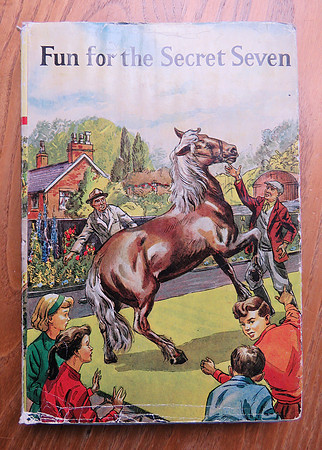 Book 15 Fun For The Secret Seven