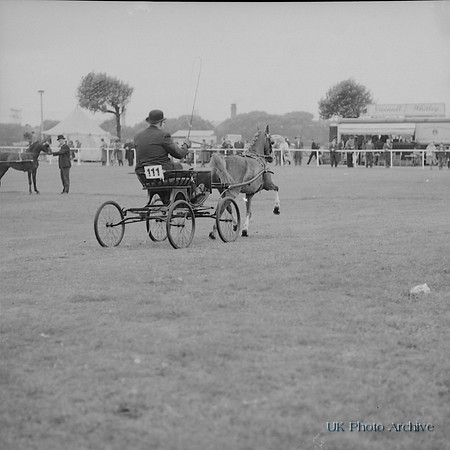 Wavertree Show Liverpool 1966