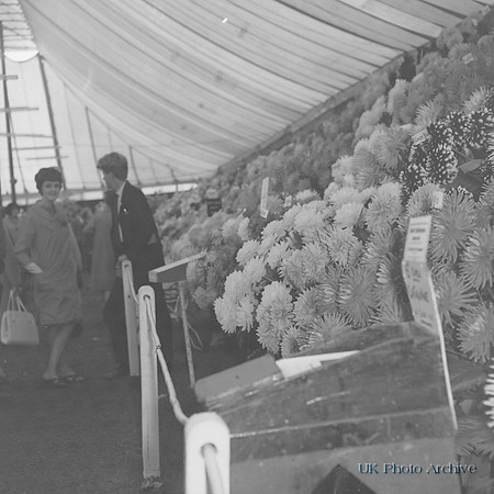 Wavertree Show Liverpool 1966