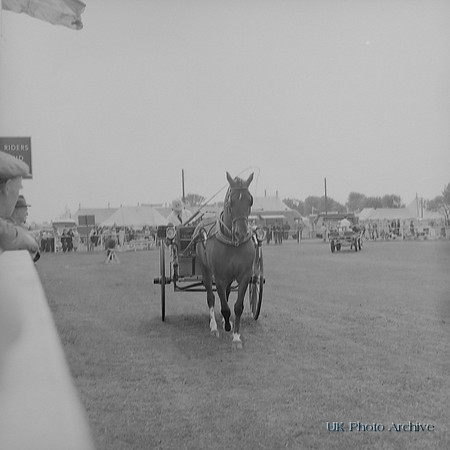 Wavertree Show Liverpool 1966