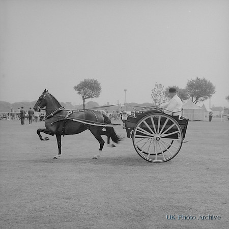 Wavertree Show Liverpool 1966
