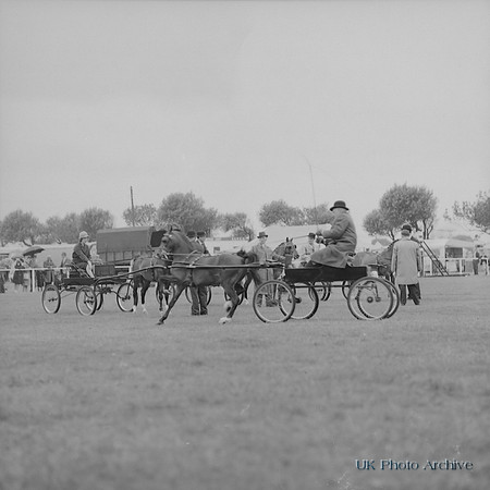 Wavertree Show Liverpool 1966