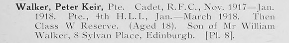 Walker P K Pte Cadet Royal Flying Corps Photo Available Plate 8