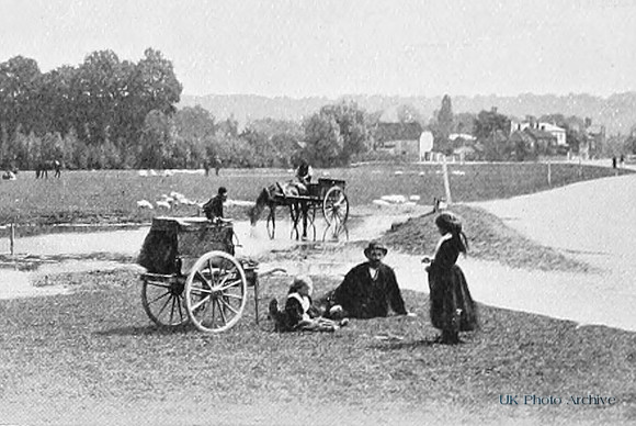 Cookham Moor