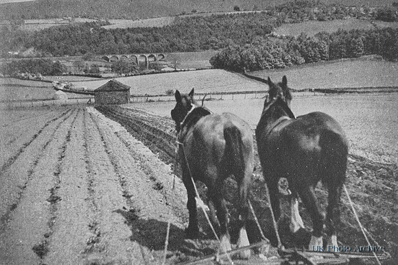 Ploughing In The Eden Valley Cumberland 1930s