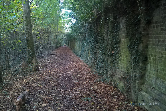 The Wall Of The Old Banstead Mental Asylum