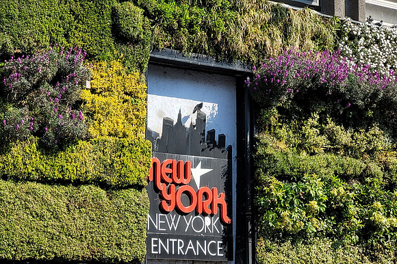 The Living Wall Wilkinson's Sutton 2021