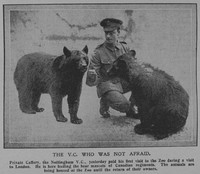 Caffrey J Pte VC Graphic Feb 1916