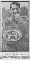 Canadian Soldier Enjoying Blackberries In Bourlon Wood