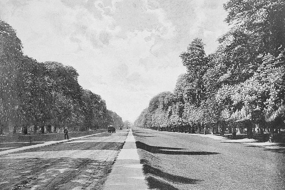 Chestnut Avenue Bushy Park 1897