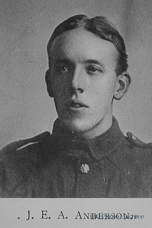Anderson J E A Pte 24th Royal Fusiliers
