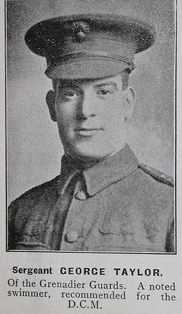 Taylor G Sergt DCM 15328 Grenadier Guards