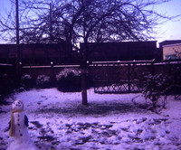 In A Back Garden Winter 1976